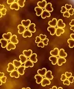 4 leaf heart clovers on brown background
