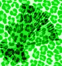 TrySomethingNewGreenFanPrint