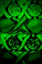 xoxoMoreGreenxoxo