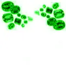MasterpieceEmerald