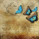 LOVELY VINTAGE PAPER WITH TURQUOISE BUTTERFLIES & TEXT