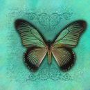 VINTAGE TEAL BACKGROUND WITH BUTTERFLY
