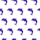 dolphins