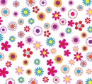 WHITE BACKGROUND WITH RED FLOWERS