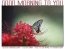 GOOD MORNING TO YOU