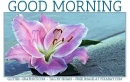 GOOD MORNING TO YOU