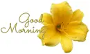 GOOD MORNING, LILY, YELLOW, TEXT