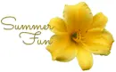 SUMMER FUN, YELLOW, LILY, TEXT