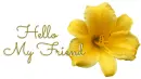 HELLO MY FRIEND, YELLOW, LILY, TEXT
