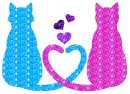 two cats