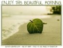 ENJOY THIS BEAUTIFUL MORNING