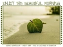 ENJOY THIS BEAUTIFUL MORNING