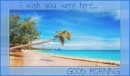 I WISH YOU WERE HERE.. GOOD MORNING