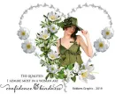 Qualities I Admire . . .