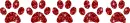paw prints divider