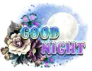 Good night - Moonlight