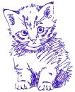 cat