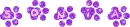 Sonia - paw prints