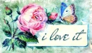 I LOVE IT, BUTTERFLY, NATURE, TEXT