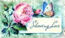 SHOWING LOVE, BUTTERFLY, ROSE, TEXT