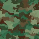CAMMO BACKGROUND