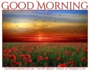 GOOD MORNING, POPPY, RED, TEXT