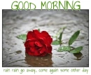 GOOD MORNING.. RAIN RAIN GO AWAY