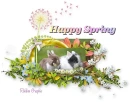 Happy Spring