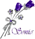 Sonia - roses