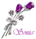 Sonia - roses
