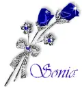 Sonia - roses