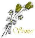 Sonia - roses