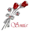 Sonia - roses