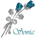 Sonia - roses