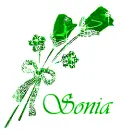 Sonia - roses