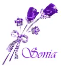 Sonia - roses