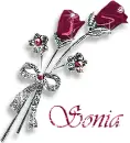 Sonia - roses