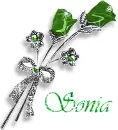 Sonia - roses