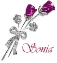 Sonia - roses