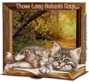 Kitty with a book