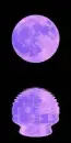 moon reflected in the water