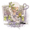 Apple - Shian