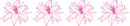 divider with lilies