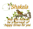 autumn shakela