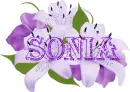 Sonia - flowers