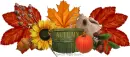 Autumn/fall ~ div
