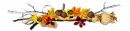 Autumn/Fall ~ div ~ fg