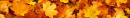 Divider of Autumn Leaves