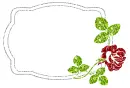 frame with rose