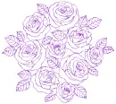 roses